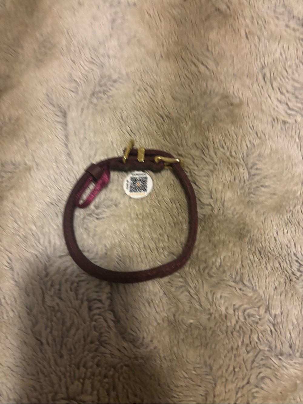 XS Rolled Leather Dog Collar - Picture 2 of 6